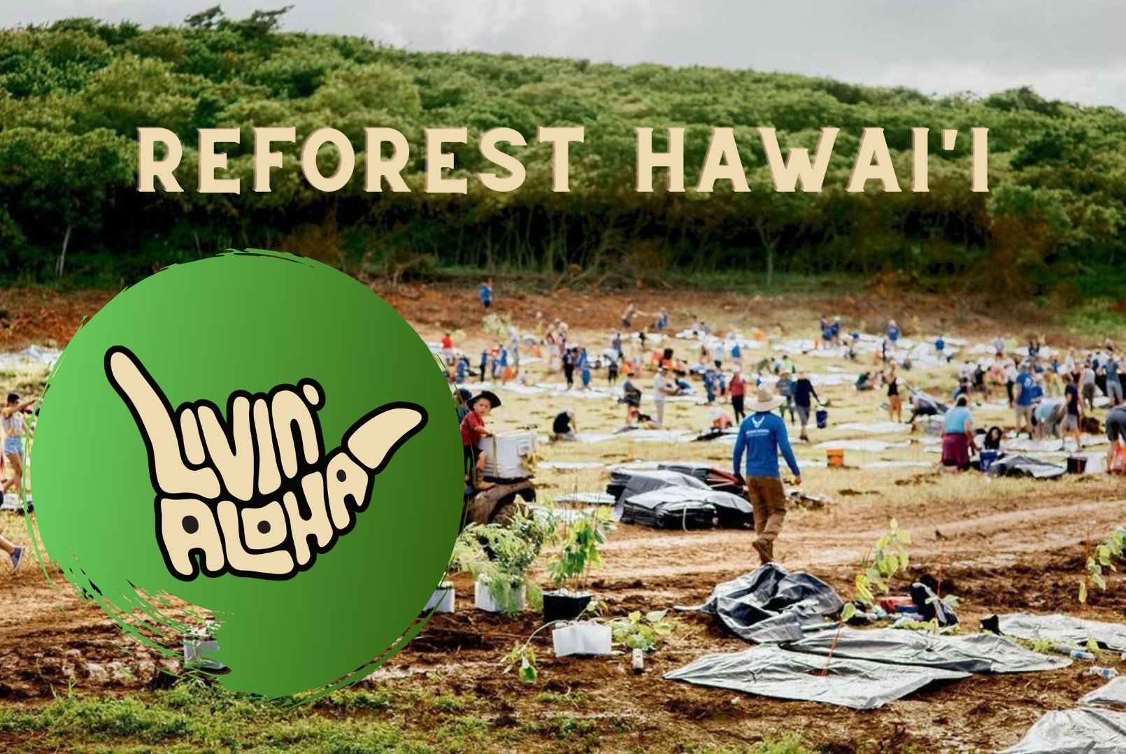 Reforest Hawaiʻi — community planting day.